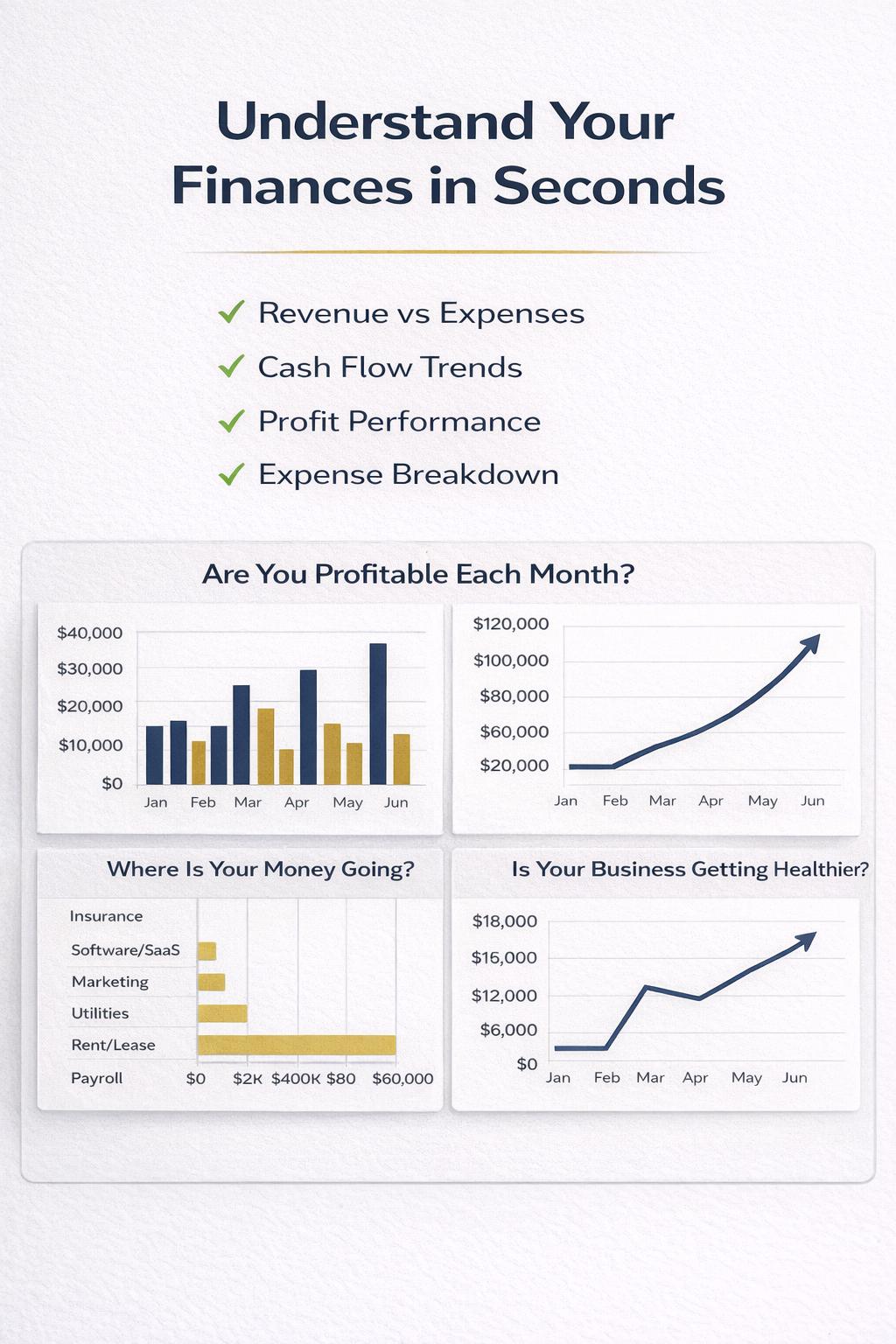 Small Business Financial Control System Excel Template