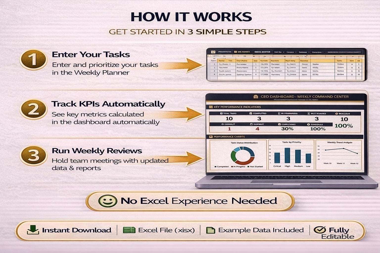CEO Dashboard Excel Template