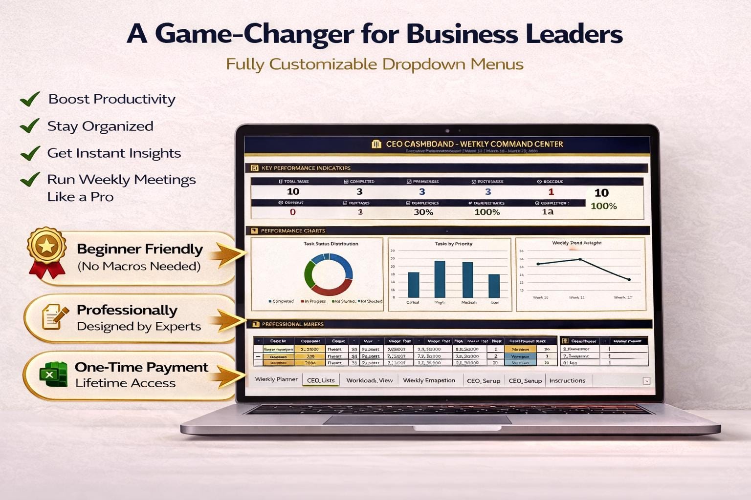 CEO Dashboard Excel Template