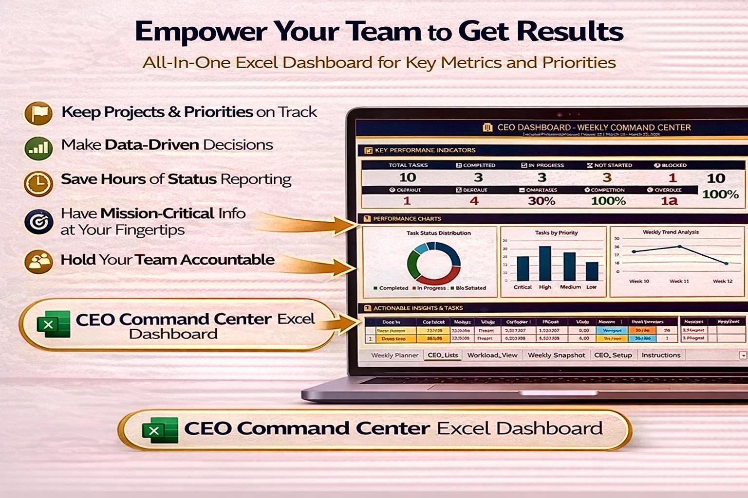 CEO Dashboard Excel Template