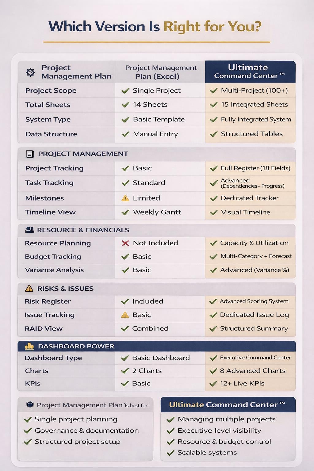 Project Management Excel System