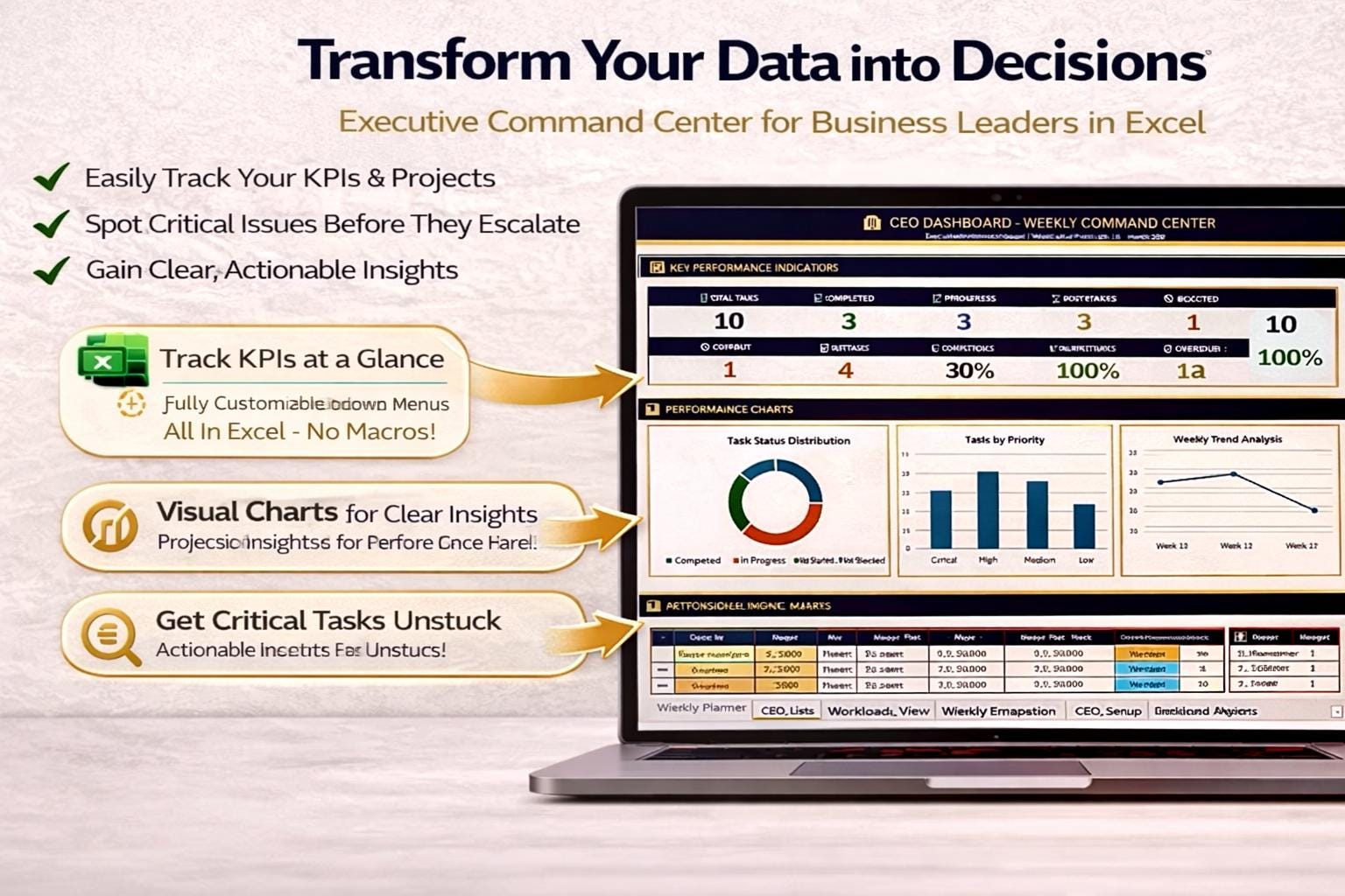 CEO Dashboard Excel Template